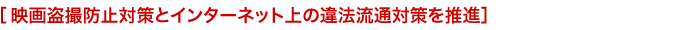 �f�擐�B�h�~�΍�ƃC���^�[�l�b�g��̈�@���ʑ΍�𐄐i